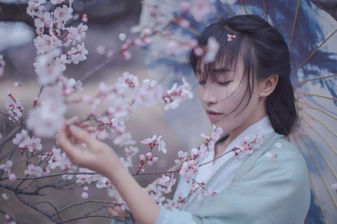 月收入千萬,網紅李子柒火了!背后公司注冊百余商標!