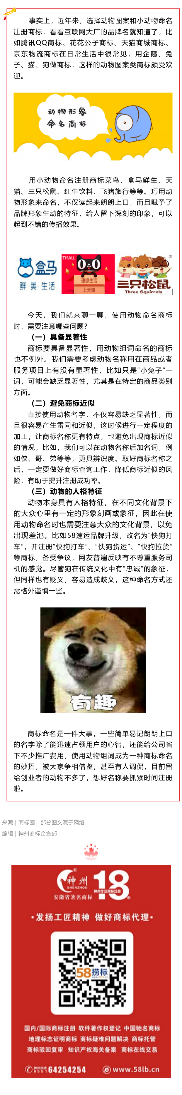 選擇小動物命名商標，需要注意什么呢？